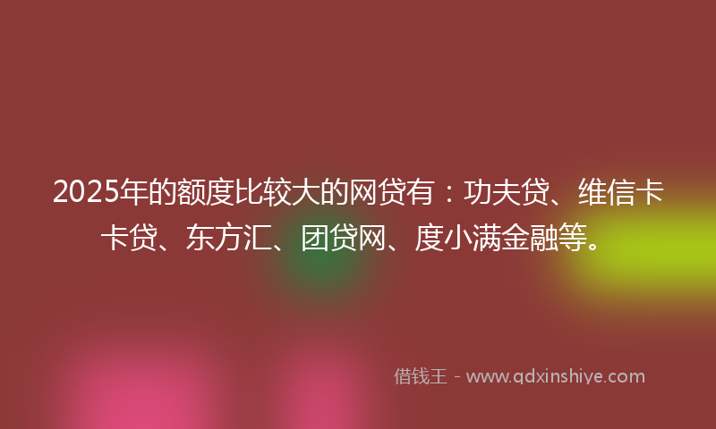 2025年的额度比较大的网贷有：功夫贷、维信卡卡贷、东方汇、团贷网、度小满金融等。