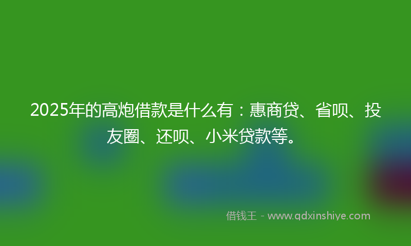 2025年的高炮借款是什么有：惠商贷、省呗、投友圈、还呗、小米贷款等。