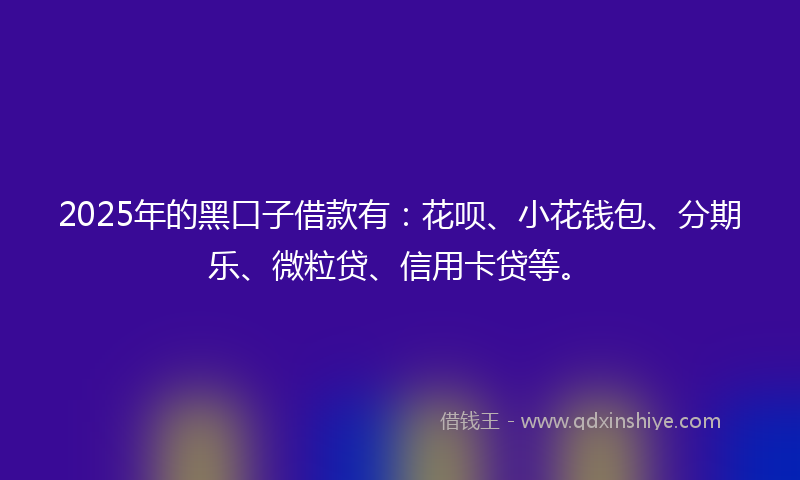 2025年的黑口子借款有：花呗、小花钱包、分期乐、微粒贷、信用卡贷等。