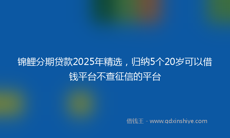 锦鲤分期贷款2025年精选，归纳5个20岁可以借钱平台不查征信的平台