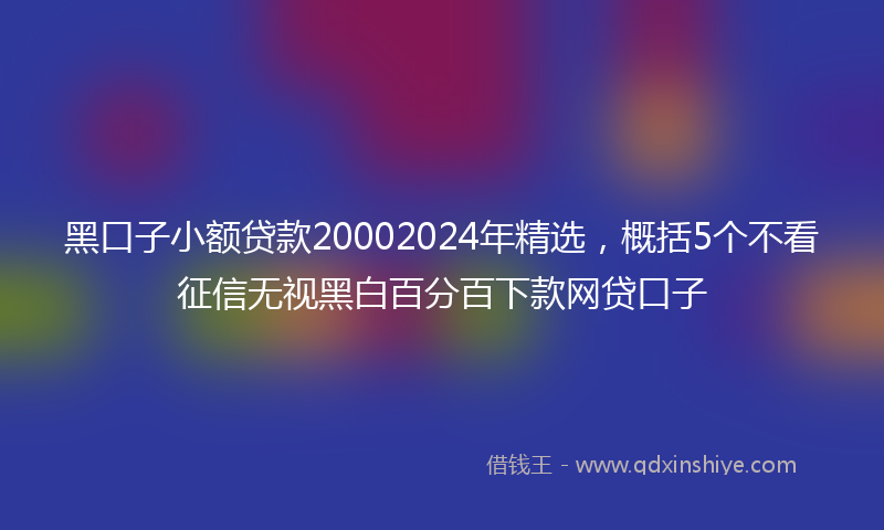 黑口子小额贷款20002024年精选，概括5个不看征信无视黑白百分百下款网贷口子
