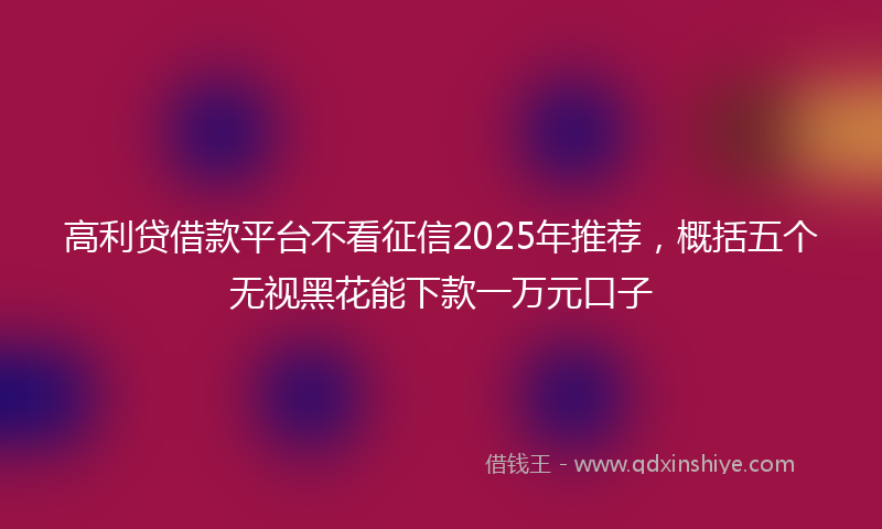 高利贷借款平台不看征信2025年推荐，概括五个无视黑花能下款一万元口子
