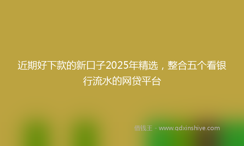 近期好下款的新口子2025年精选，整合五个看银行流水的网贷平台