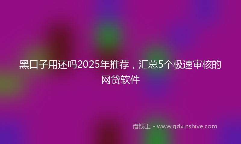 黑口子用还吗2025年推荐，汇总5个极速审核的网贷软件
