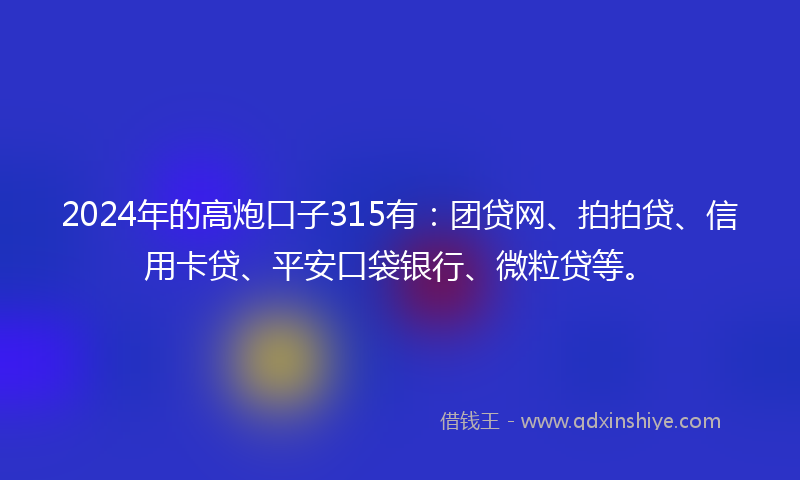 2024年的高炮口子315有：团贷网、拍拍贷、信用卡贷、平安口袋银行、微粒贷等。