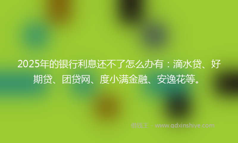 2025年的银行利息还不了怎么办有：滴水贷、好期贷、团贷网、度小满金融、安逸花等。