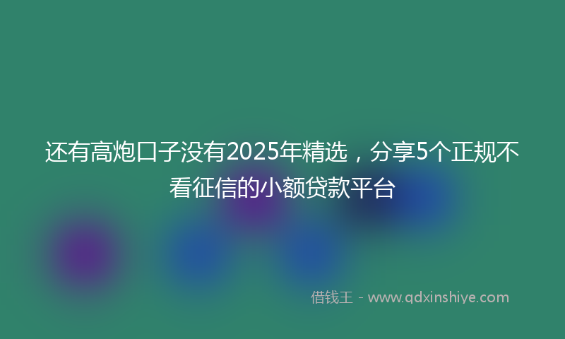 还有高炮口子没有2025年精选，分享5个正规不看征信的小额贷款平台