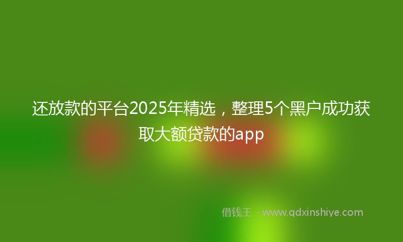还放款的平台2025年精选，整理5个黑户成功获取大额贷款的app