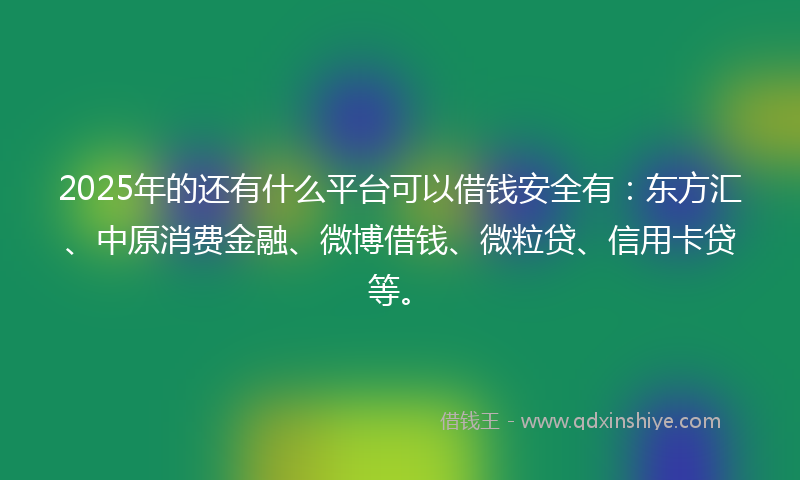 2025年的还有什么平台可以借钱安全有：东方汇、中原消费金融、微博借钱、微粒贷、信用卡贷等。