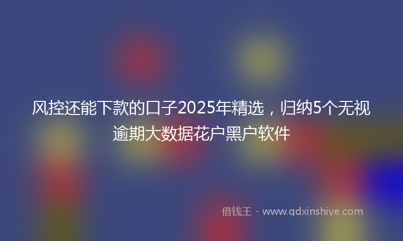 风控还能下款的口子2025年精选，归纳5个无视逾期大数据花户黑户软件