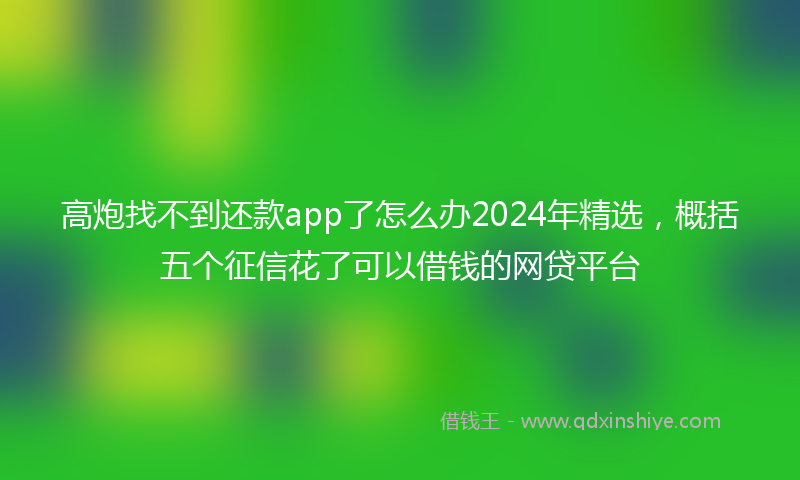 高炮找不到还款app了怎么办2024年精选，概括五个征信花了可以借钱的网贷平台