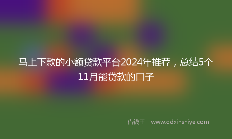 马上下款的小额贷款平台2024年推荐，总结5个11月能贷款的口子
