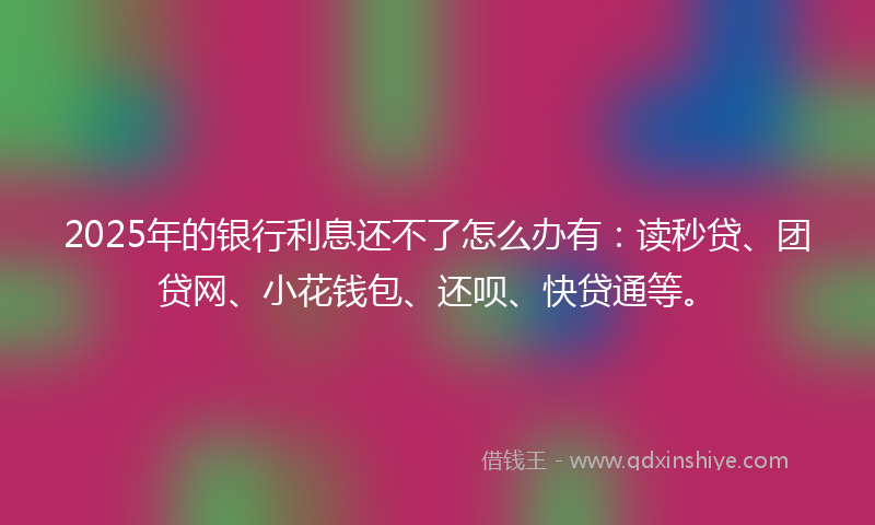 2025年的银行利息还不了怎么办有：读秒贷、团贷网、小花钱包、还呗、快贷通等。