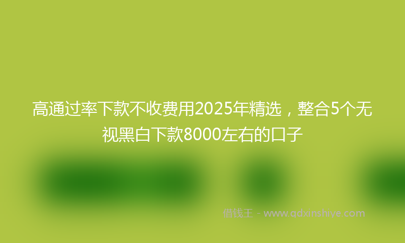 高通过率下款不收费用2025年精选，整合5个无视黑白下款8000左右的口子
