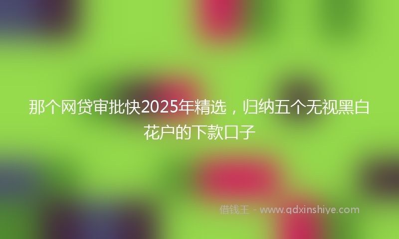 那个网贷审批快2025年精选，归纳五个无视黑白花户的下款口子