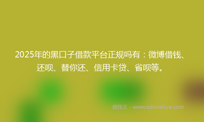 2025年的黑口子借款平台正规吗有：微博借钱、还呗、替你还、信用卡贷、省呗等。