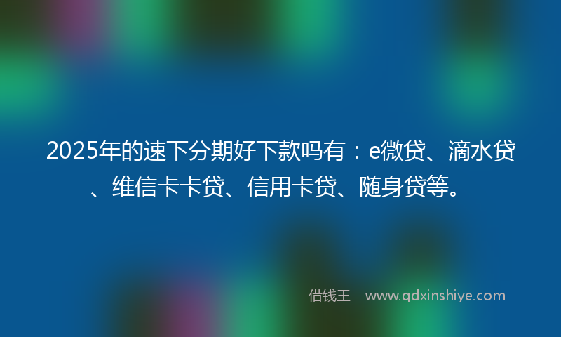 2025年的速下分期好下款吗有：e微贷、滴水贷、维信卡卡贷、信用卡贷、随身贷等。