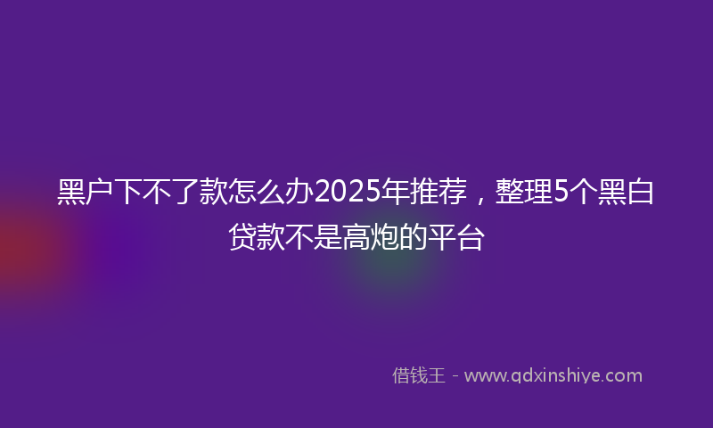 黑户下不了款怎么办2025年推荐，整理5个黑白贷款不是高炮的平台