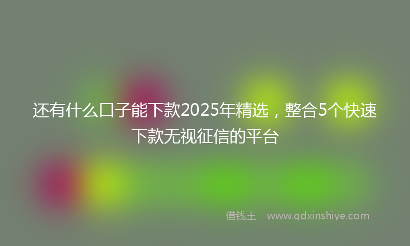 还有什么口子能下款2025年精选，整合5个快速下款无视征信的平台