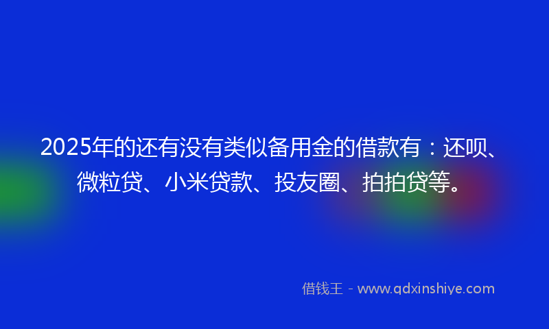 2025年的还有没有类似备用金的借款有：还呗、微粒贷、小米贷款、投友圈、拍拍贷等。