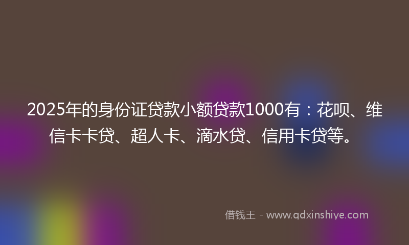 2025年的身份证贷款小额贷款1000有：花呗、维信卡卡贷、超人卡、滴水贷、信用卡贷等。