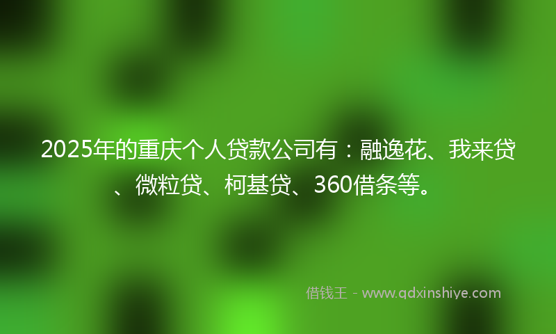 2025年的重庆个人贷款公司有：融逸花、我来贷、微粒贷、柯基贷、360借条等。