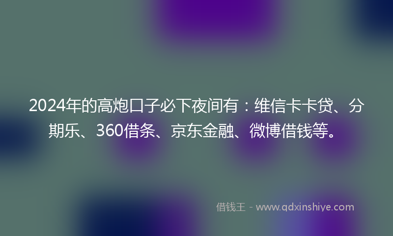 2024年的高炮口子必下夜间有：维信卡卡贷、分期乐、360借条、京东金融、微博借钱等。