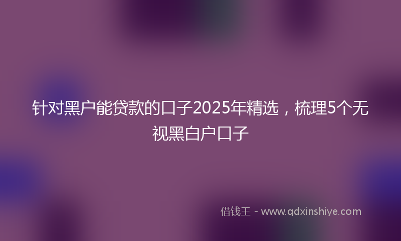 针对黑户能贷款的口子2025年精选，梳理5个无视黑白户口子
