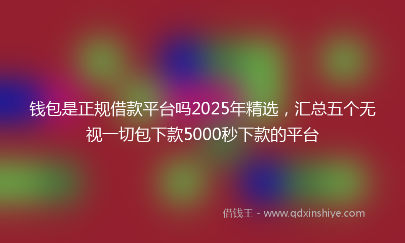 钱包是正规借款平台吗2025年精选，汇总五个无视一切包下款5000秒下款的平台
