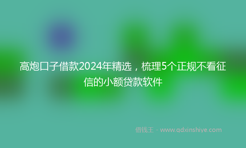 高炮口子借款2024年精选，梳理5个正规不看征信的小额贷款软件