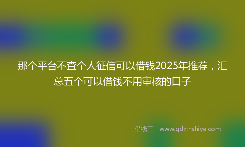那个平台不查个人征信可以借钱2025年推荐，汇总五个可以借钱不用审核的口子