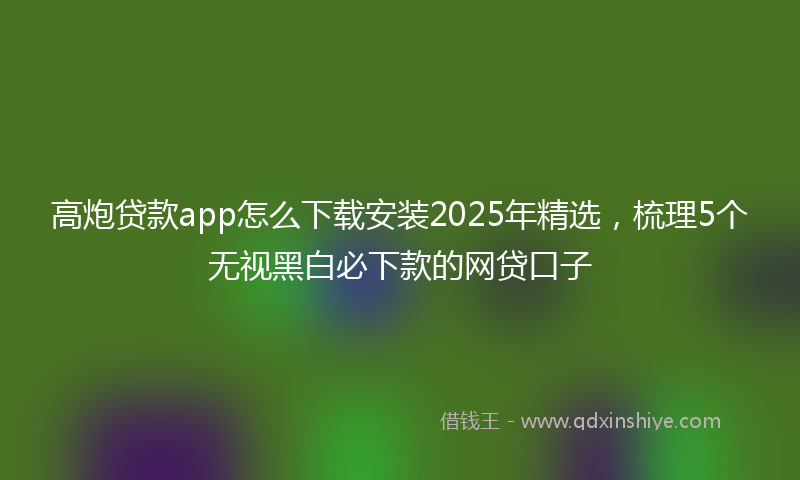 高炮贷款app怎么下载安装2025年精选，梳理5个无视黑白必下款的网贷口子