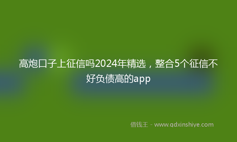 高炮口子上征信吗2024年精选，整合5个征信不好负债高的app