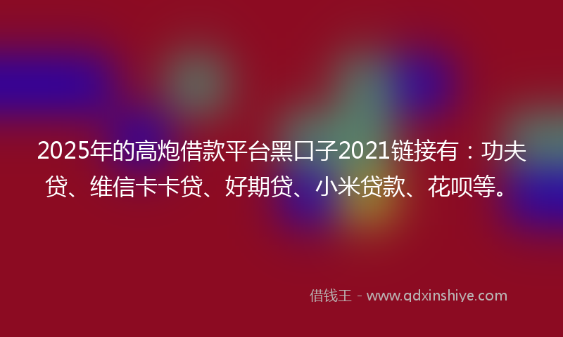 2025年的高炮借款平台黑口子2021链接有：功夫贷、维信卡卡贷、好期贷、小米贷款、花呗等。