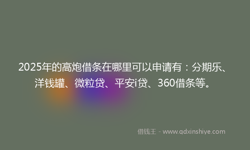 2025年的高炮借条在哪里可以申请有：分期乐、洋钱罐、微粒贷、平安i贷、360借条等。