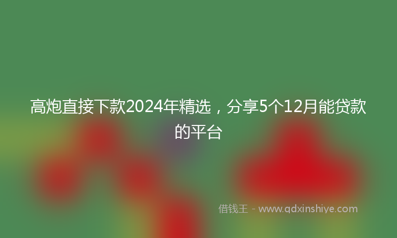 高炮直接下款2024年精选，分享5个12月能贷款的平台