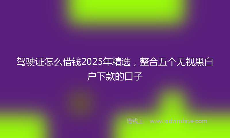 驾驶证怎么借钱2025年精选，整合五个无视黑白户下款的口子