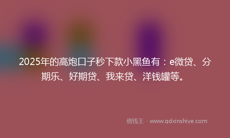 2025年的高炮口子秒下款小黑鱼有：e微贷、分期乐、好期贷、我来贷、洋钱罐等。