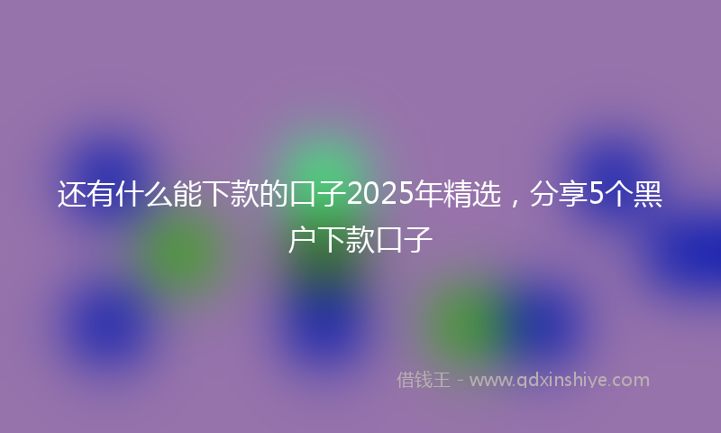 还有什么能下款的口子2025年精选，分享5个黑户下款口子