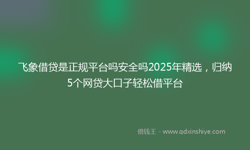 飞象借贷是正规平台吗安全吗2025年精选，归纳5个网贷大口子轻松借平台