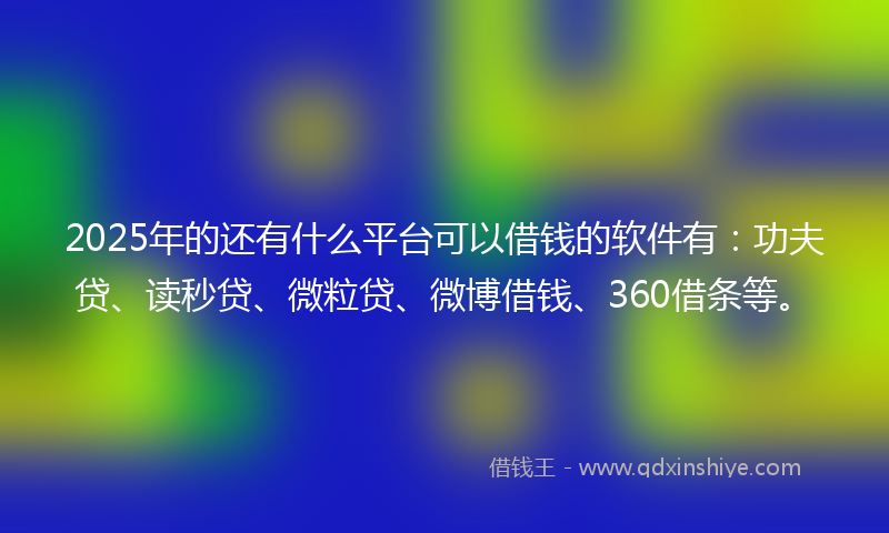 2025年的还有什么平台可以借钱的软件有：功夫贷、读秒贷、微粒贷、微博借钱、360借条等。