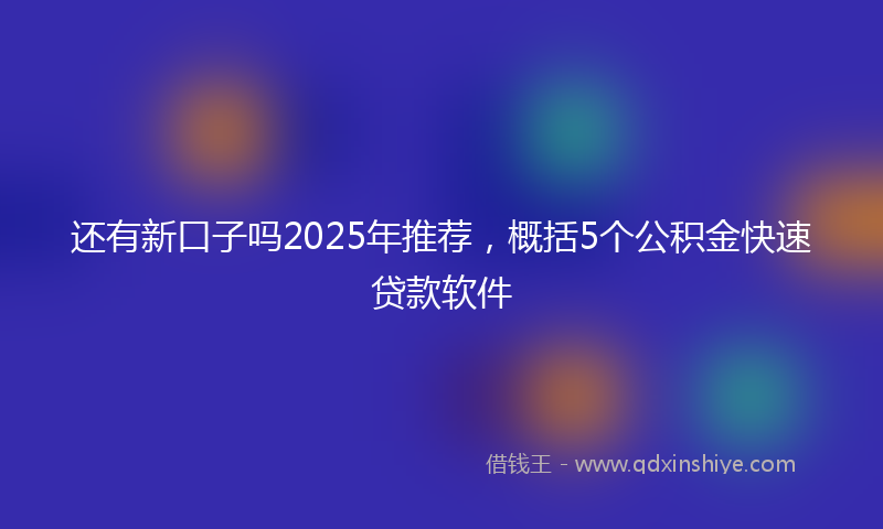 还有新口子吗2025年推荐，概括5个公积金快速贷款软件