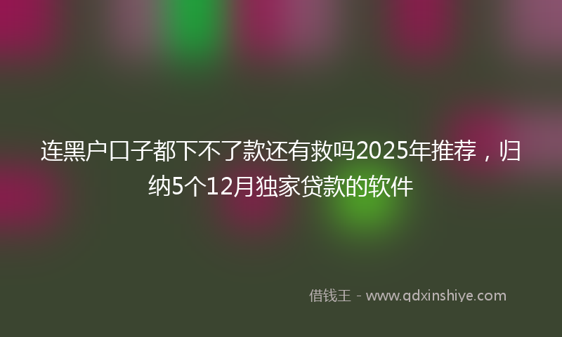 连黑户口子都下不了款还有救吗2025年推荐，归纳5个12月独家贷款的软件