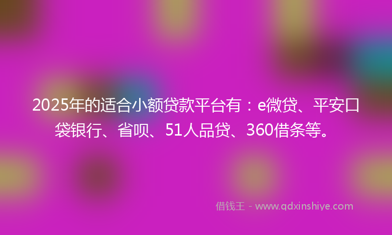 2025年的适合小额贷款平台有：e微贷、平安口袋银行、省呗、51人品贷、360借条等。