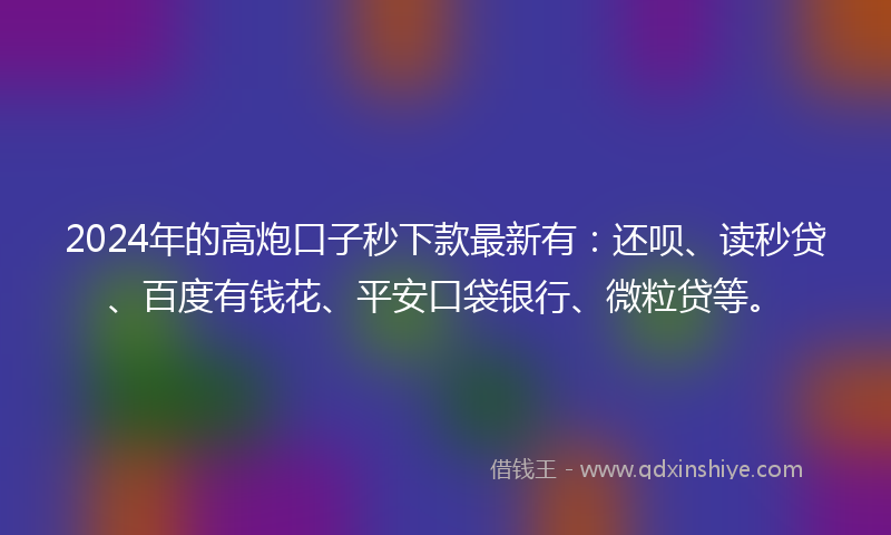 2024年的高炮口子秒下款最新有：还呗、读秒贷、百度有钱花、平安口袋银行、微粒贷等。