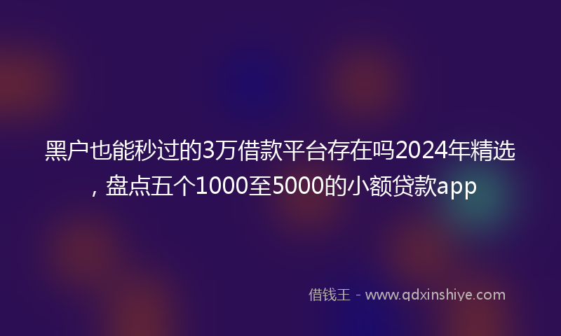 黑户也能秒过的3万借款平台存在吗2024年精选，盘点五个1000至5000的小额贷款app