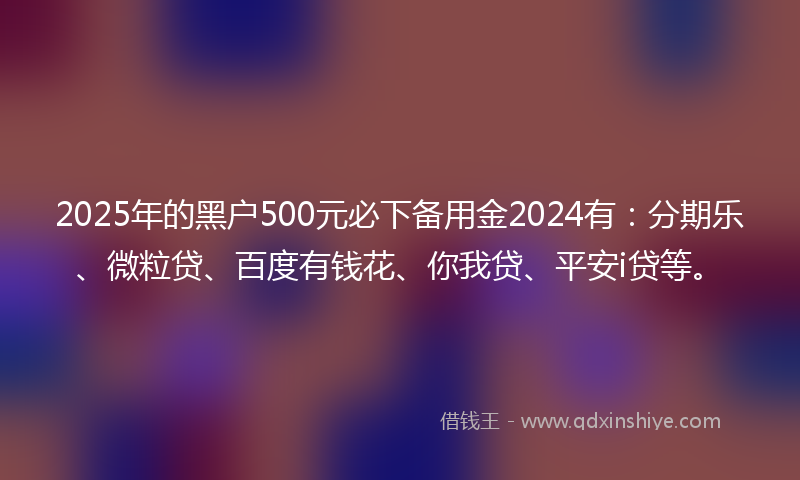 2025年的黑户500元必下备用金2024有：分期乐、微粒贷、百度有钱花、你我贷、平安i贷等。