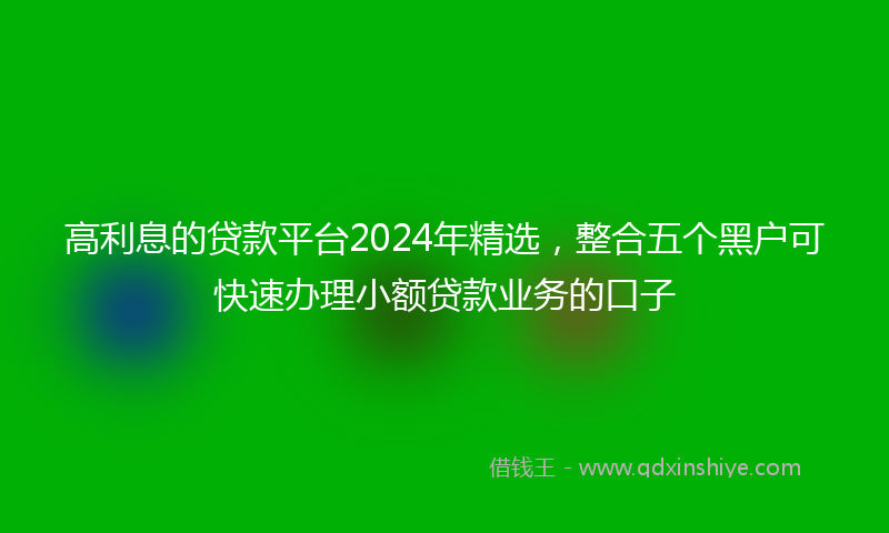 高利息的贷款平台2024年精选，整合五个黑户可快速办理小额贷款业务的口子