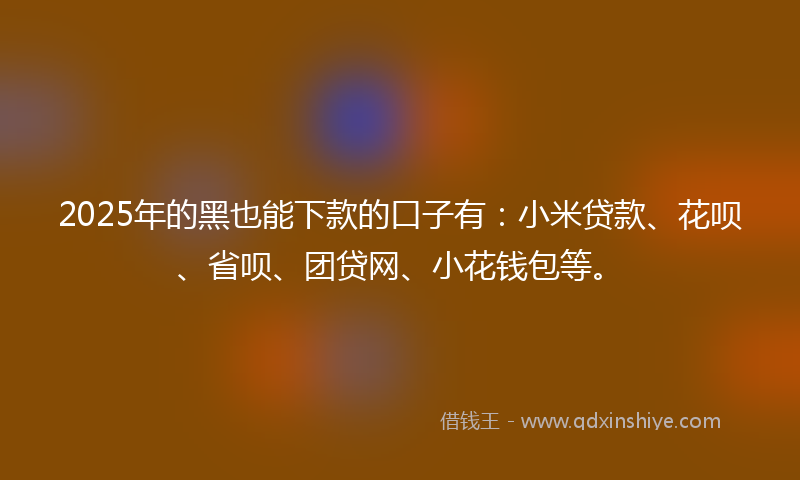 2025年的黑也能下款的口子有：小米贷款、花呗、省呗、团贷网、小花钱包等。