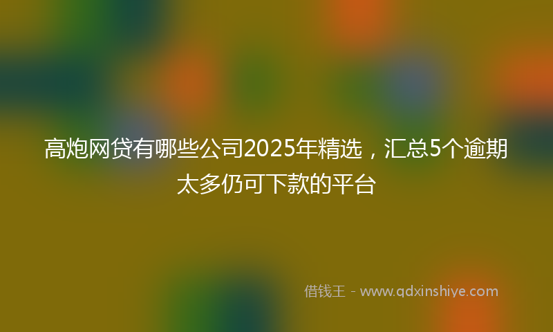 高炮网贷有哪些公司2025年精选，汇总5个逾期太多仍可下款的平台